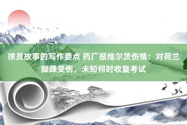 球员故事的写作要点 药厂报维尔茨伤情：对荷兰脚踝受伤，未知何时收复考试