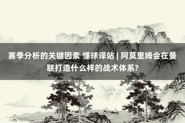 赛季分析的关键因素 懂球译站 | 阿莫里姆会在曼联打造什么样的战术体系?