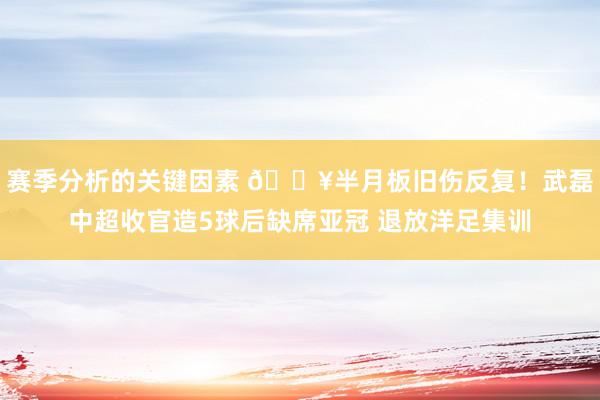 赛季分析的关键因素 💥半月板旧伤反复！武磊中超收官造5球后缺席亚冠 退放洋足集训