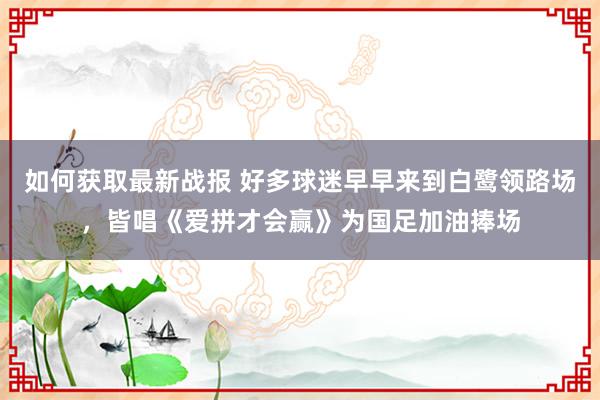 如何获取最新战报 好多球迷早早来到白鹭领路场，皆唱《爱拼才会赢》为国足加油捧场