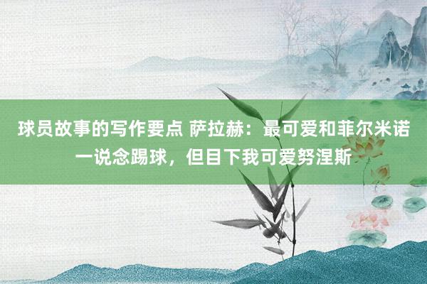 球员故事的写作要点 萨拉赫：最可爱和菲尔米诺一说念踢球，但目下我可爱努涅斯