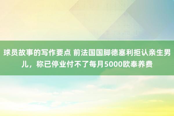 球员故事的写作要点 前法国国脚德塞利拒认亲生男儿，称已停业付不了每月5000欧奉养费