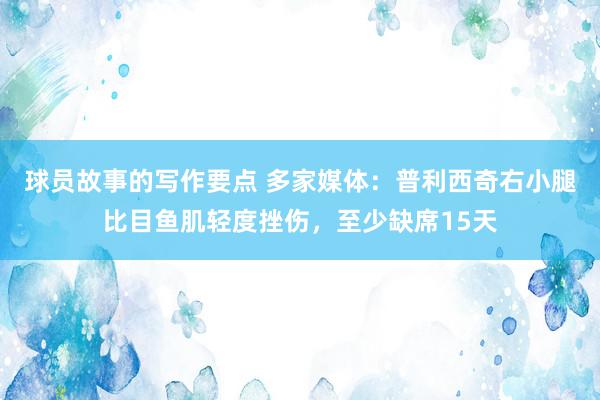 球员故事的写作要点 多家媒体：普利西奇右小腿比目鱼肌轻度挫伤，至少缺席15天