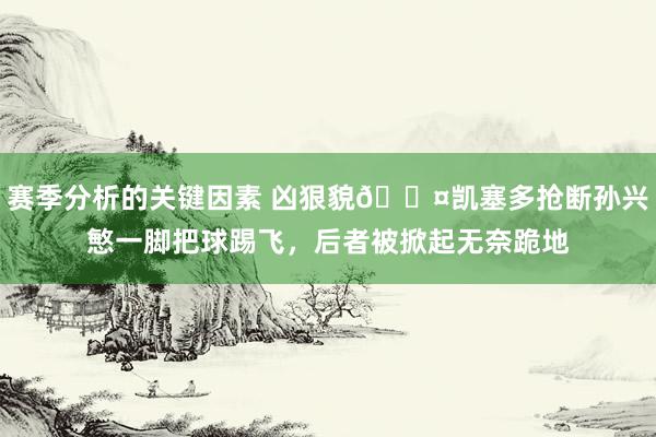 赛季分析的关键因素 凶狠貌😤凯塞多抢断孙兴慜一脚把球踢飞，后者被掀起无奈跪地