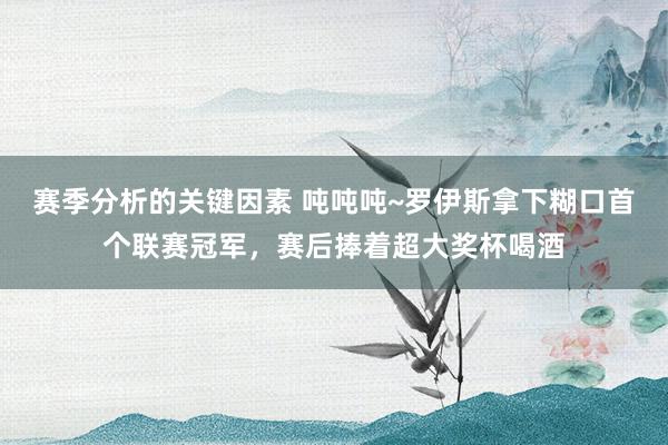 赛季分析的关键因素 吨吨吨~罗伊斯拿下糊口首个联赛冠军，赛后捧着超大奖杯喝酒