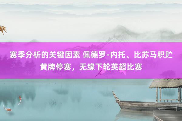 赛季分析的关键因素 佩德罗-内托、比苏马积贮黄牌停赛，无缘下轮英超比赛