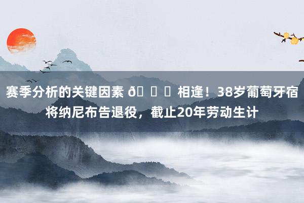 赛季分析的关键因素 👋相逢！38岁葡萄牙宿将纳尼布告退役，截止20年劳动生计